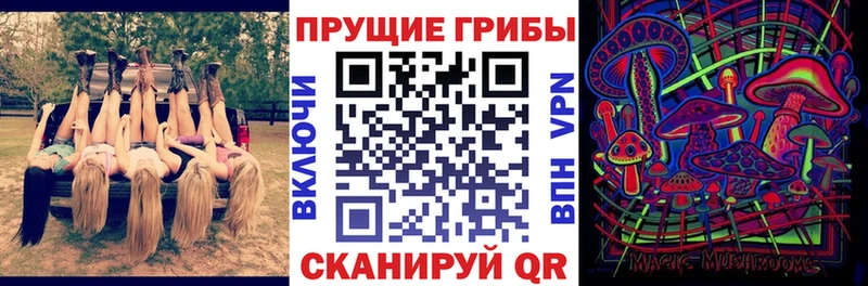 Галлюциногенные грибы мухоморы  даркнет формула  Кунгур  купить наркотики цена 