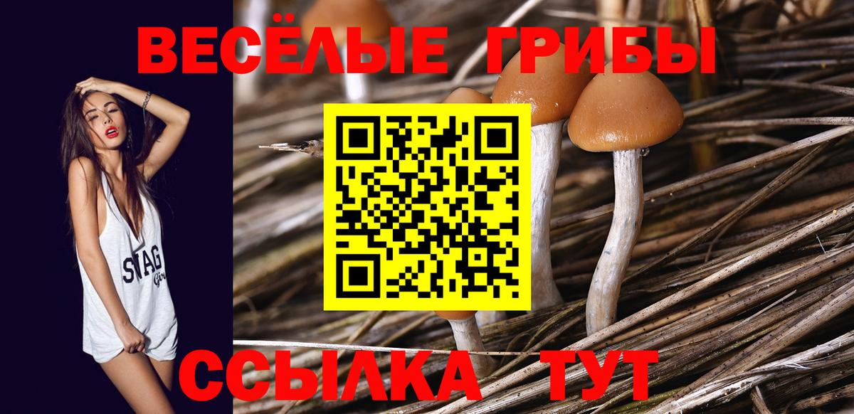 Гашиш  Cocaine  Конопля  ГАШ  Купить  Кунгур  Мефедрон кристаллы  Вход с VPN 