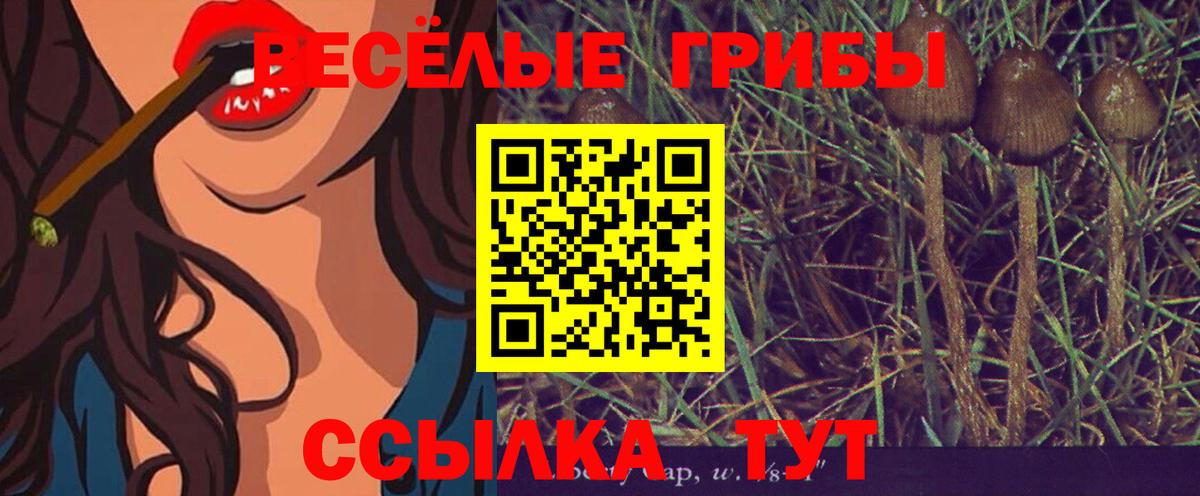 Кунгур  Псилоцибиновые грибы Cubensis  Псилоцибиновые грибы GOLDEN TEACHER  Вход с VPN 
